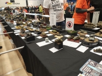 IMG 20250426 144259059 HDR 1