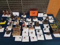 20170902 135948-Copy