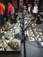 IMG-20250517-WA0006 1