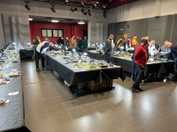 IMG-20250517-WA0025 1