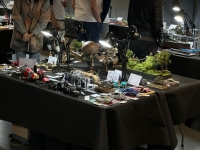 IMG-20250517-WA0044 1