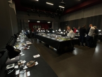 IMG-20250517-WA0045 1