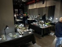 IMG-20250517-WA0052 1