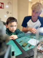 IMG-20250517-WA0117 1