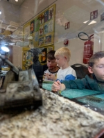 IMG-20250517-WA0129 1