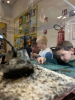 IMG-20250517-WA0134 1