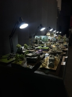 IMG-20250517-WA0214 1