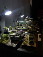 IMG-20250517-WA0220 1