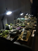 IMG-20250517-WA0224 1