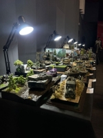 IMG-20250517-WA0226 1