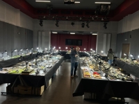 IMG-20250517-WA0233 1