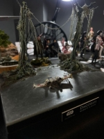 IMG-20250517-WA0238 1