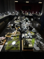 IMG-20250517-WA0242 1