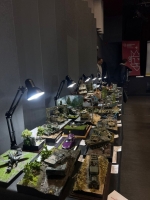 IMG-20250517-WA0246 1