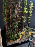 IMG-20250517-WA0256 1