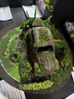 IMG-20250517-WA0262 1
