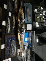 IMG-20250517-WA0275 1