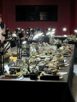 IMG-20250517-WA0278 1