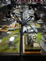 IMG-20250517-WA0282 1