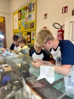 IMG-20250517-WA0291 1