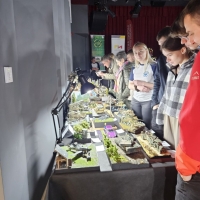 IMG-20250517-WA0305 1