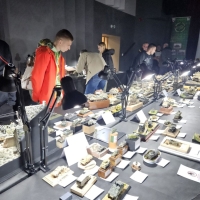 IMG-20250517-WA0306 1