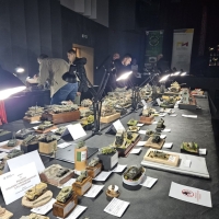 IMG-20250517-WA0307 1