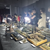 IMG-20250517-WA0309 1