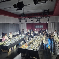 IMG-20250517-WA0323 1