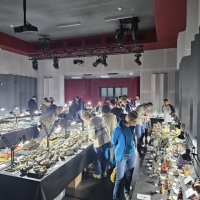 IMG-20250517-WA0325 1