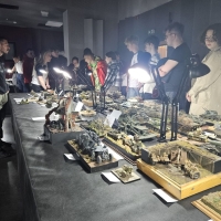 IMG-20250517-WA0326 1