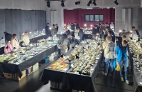 IMG-20250517-WA0345 1