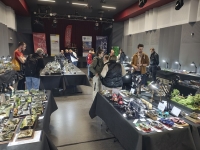 IMG 20250517 120547491 HDR 1