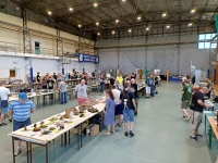 IMG 20230708 135440628 HDR