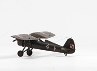 PZL P11c (4)